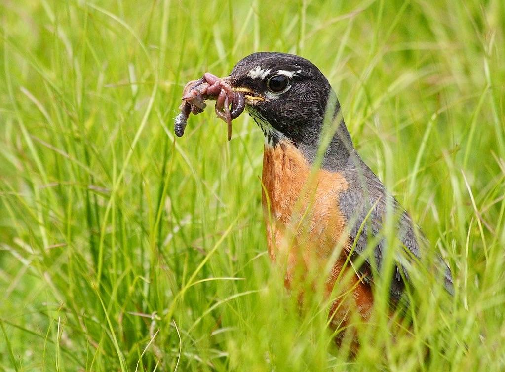 Found the Wormhole by Ingrid Taylar is licensed under CC BY-NC 2.0